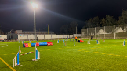 Prueba Semana Santa el Área Jerez 2025 - Imagen 3