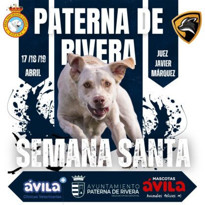 Prueba Semana Santa el Área Jerez 2025